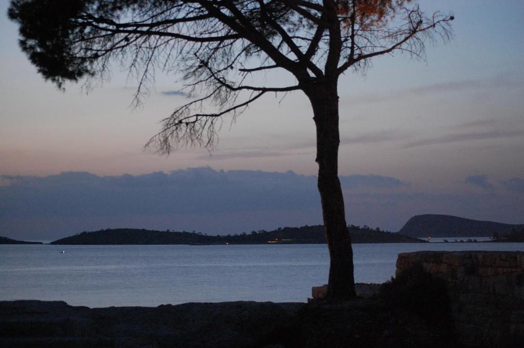 Villa Dedem Hotel Foça Dış mekan fotoğraf